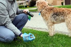 Contact London Dog Waste Removal