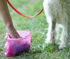 About London Dog Waste Removal