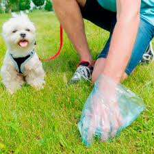Dog Waste Removal